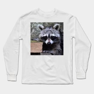 Little Raccoon Long Sleeve T-Shirt